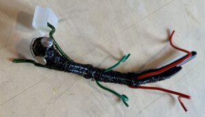 昆虫作り(生徒さん作品)